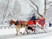Tour America – Christmas Shopping special. New York from only £465pp